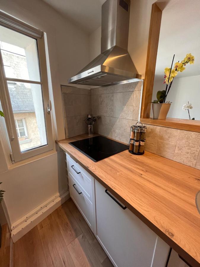 • Bel Appartement - Centre Historique De Poitiers Kültér fotó