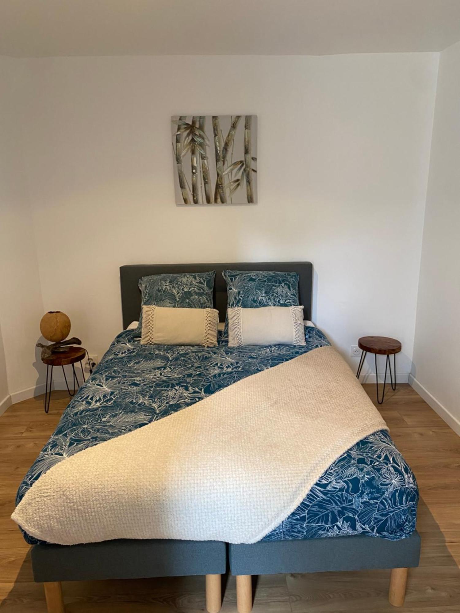 • Bel Appartement - Centre Historique De Poitiers Kültér fotó